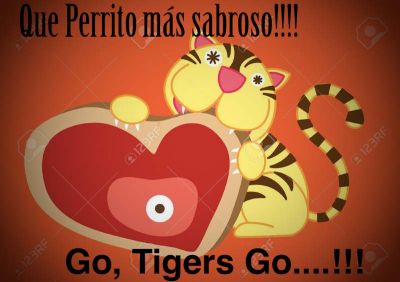 Tigres Campeones!!!!!