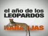 Los Leopardos naranjas