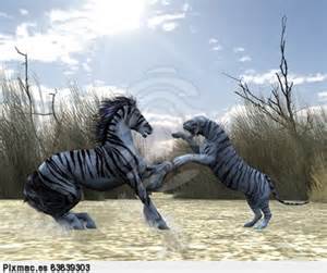 El zarpazo del tigre al caballo