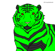 El tigre con su nueva pinta