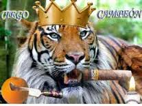 Tigre fumando Tabaco