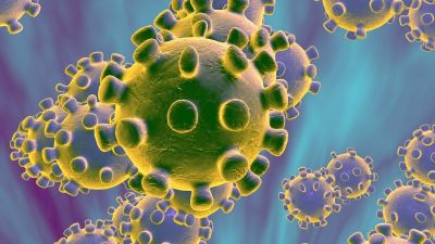 Se debe suspender la 60 Serie Nacional de Bisbol por el coronavirus?