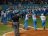 Tigres de nuevo por el oro