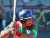 Mayor average de bateo en una Serie Nacional