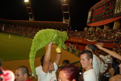 Habra guerra entre cocodrilos y leones