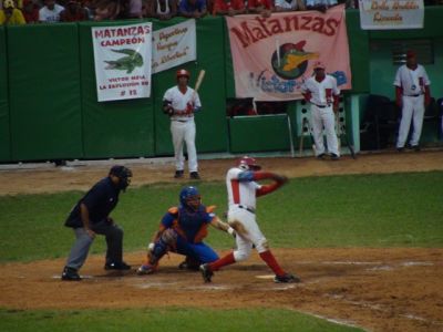 Ariel Sanchez hijo de gato caza gallinas