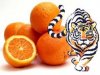 El tigre o la Naranja?