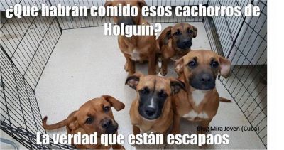 Holgun es uno de los equipos sorpresa