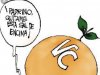 Naranjas sobre avispas.