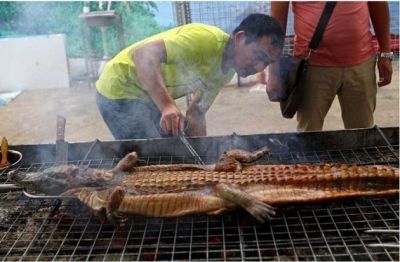 Cocodrilo a la parrilla