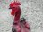 Mi Gallo