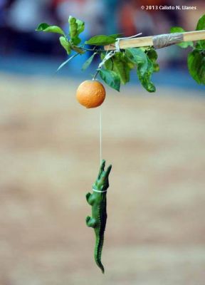 Cocodrilo vs Naranjas
