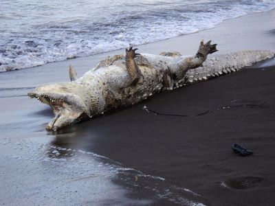 Tsunami mata a coco en bailen