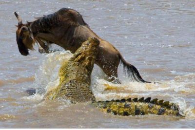 Matanzas vs. Camaguey