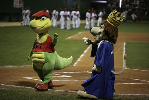 Mascotas de los equipos