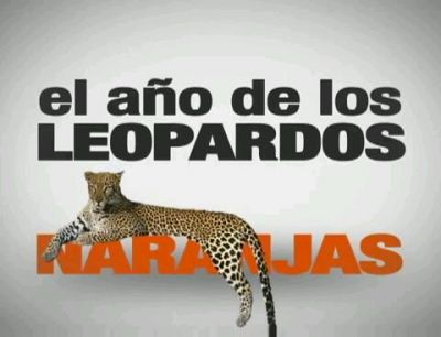 Los Leopardos naranjas