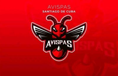 Avispas a picar