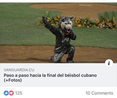 VCL a un oso de la Final