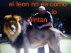 El leon no es como lo pintan