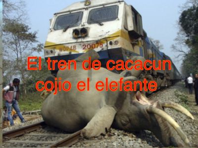 El tren de cacacun