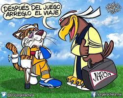 A por ellos mis gallos....