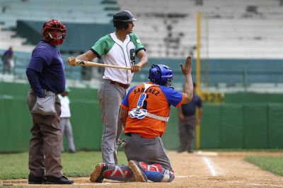 Elefantes vs. Gallos