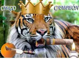Tigre avileo fumando