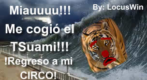 TSunami Pinareo