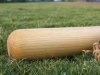 Béisbol: Juventud y experiencia en equipo que irá a Holanda.