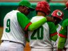 Béisbol: a ofensiva pura van Leñadores por el cetro.