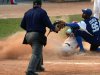 Cachorros salvan honra ante Tigres en béisbol de Cuba.