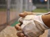 ¿Cómo se disminuyó el error humano en el béisbol?
