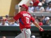 Equipo Cuba de béisbol a los Panamericanos. Cuarto conteo de protección