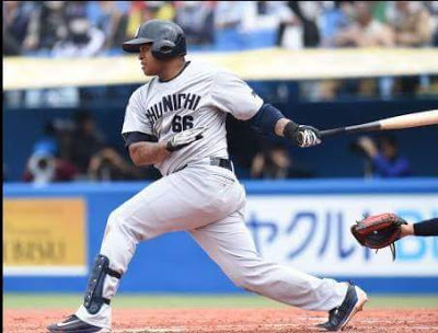 Cubano Viciedo gana el JMV de mayo en la Liga Central de Japn.