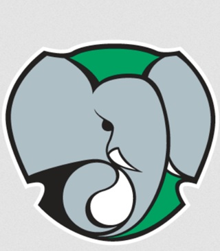 Elefantes de Cienfuegos remontó a Pinar del Río, pero perdió el juego por alineación indebida.