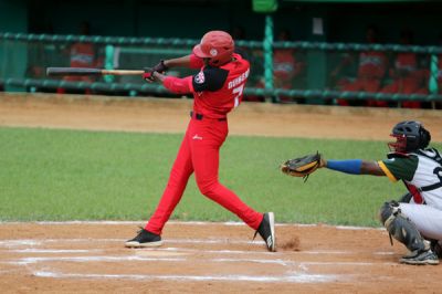 Fuertes picadas de Avispas y Gallos en beisbol cubano.