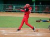 Fuertes picadas de Avispas y Gallos en beisbol cubano.