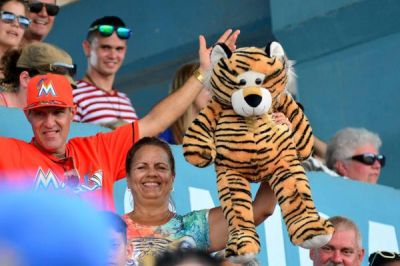 Jbilo por actuacin de Ciego de vila en Serie Nacional de Bisbol