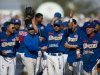 Ligas Invernales definen a sus campeones para la Serie del Caribe 2015