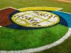 MLB ya planea jugar el Clsico Mundial de Bisbol en 2023.