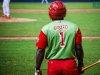 PLAY BALL: ¿Quién dice que la leña verde no enciende?