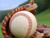Béisbol de categorías inferiores. Por buena senda los Gallitos