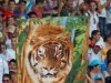 Pospuesto duelo final Tigres-Leñadores