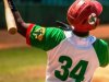 Rafael Viñales, una de las sensaciones del béisbol en Cuba.