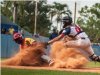 Serie Nacional: apuntes para un intermedio