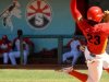 Serie Nacional de Beisbol: ¿Quién se lleva el gato al agua?