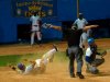 Tigres dominan 2-0 en semifinal del béisbol cubano